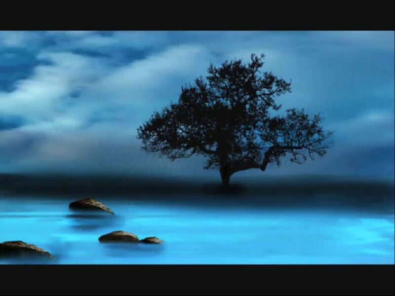 solitary tree on water