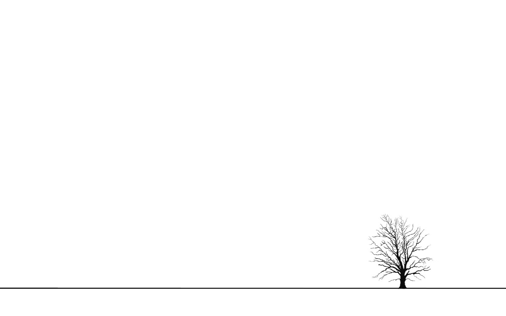 solitary tree on white background