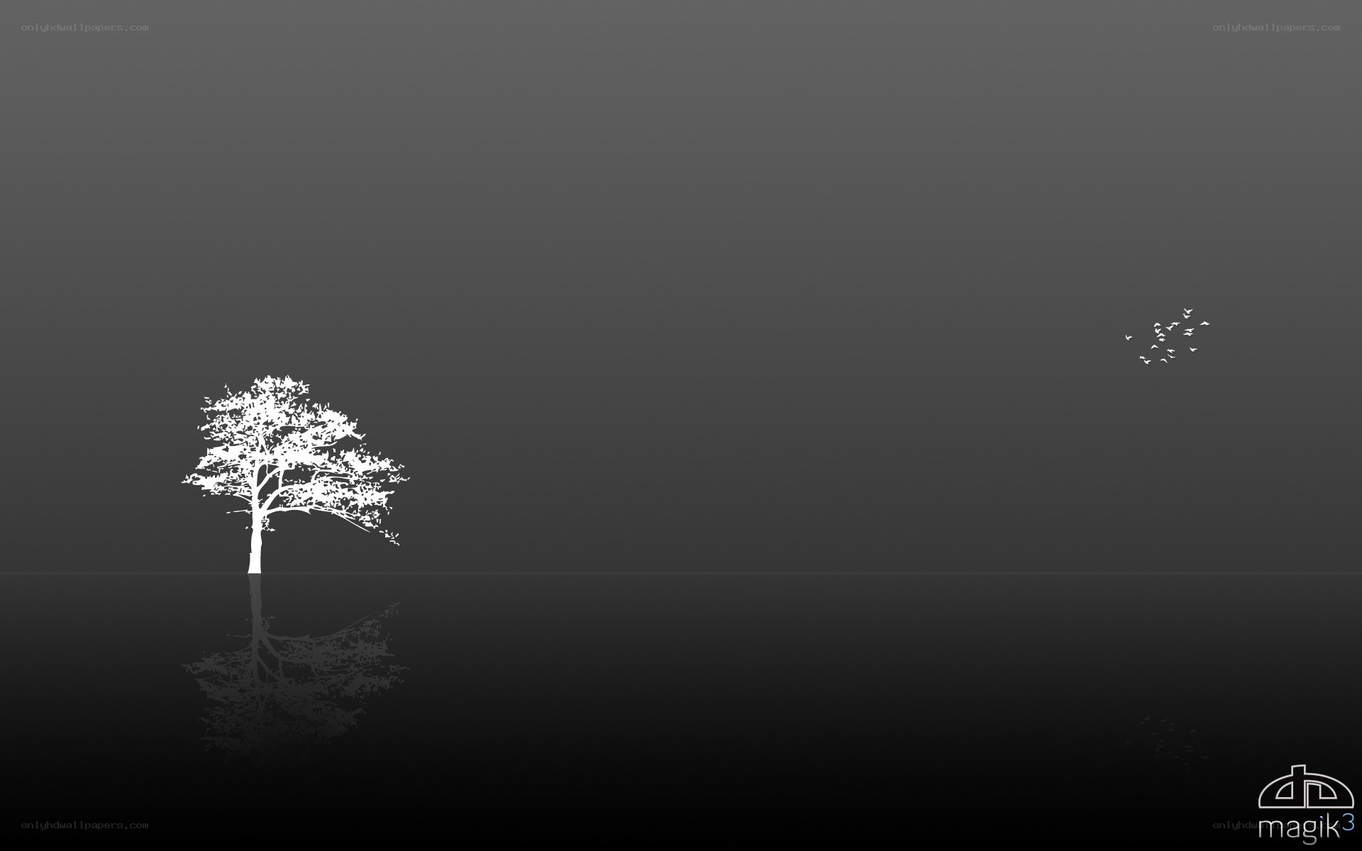 solitary tree reflection