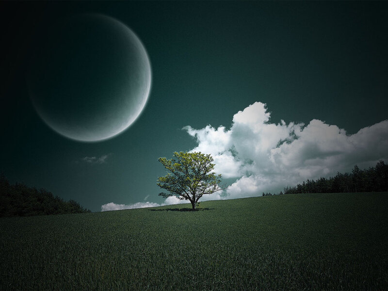 Solitary tree under a large moon