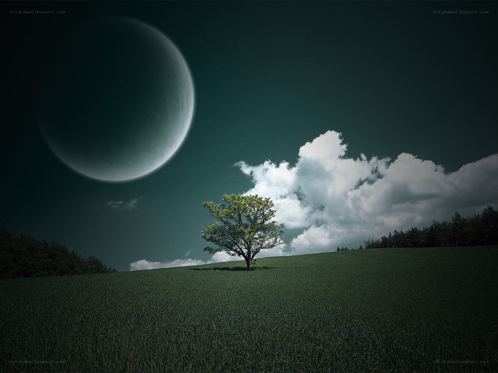 Solitary tree under a large moon