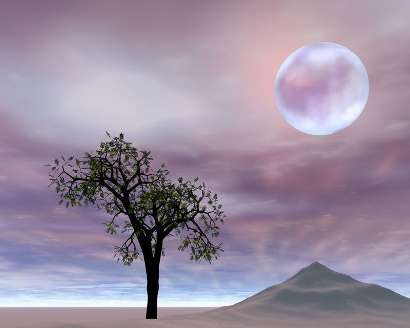 solitary tree under alien moon