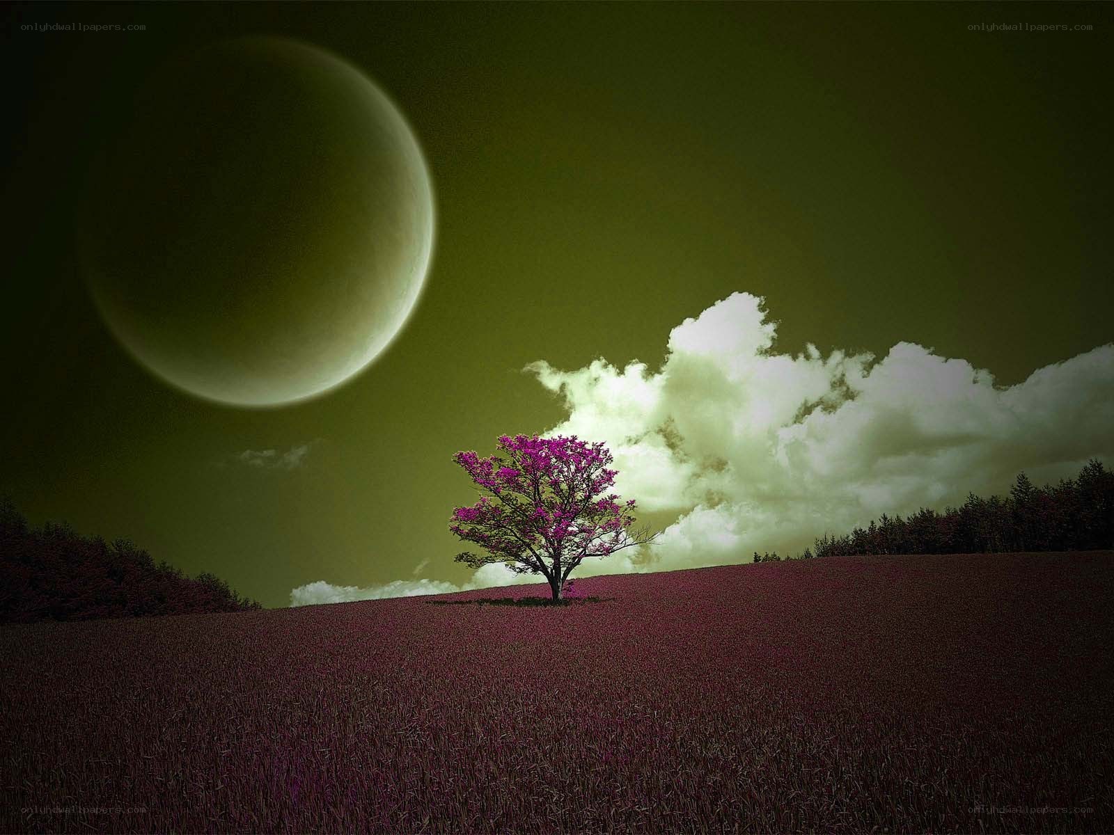 Solitary tree under alien moon
