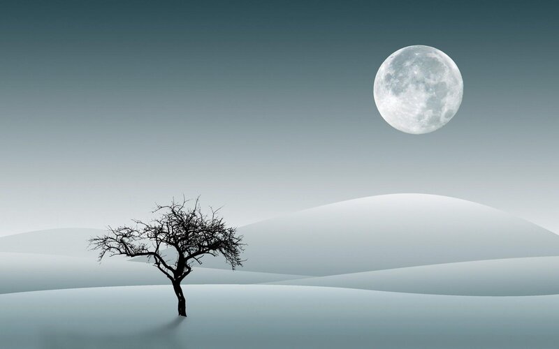 solitary tree under full moon