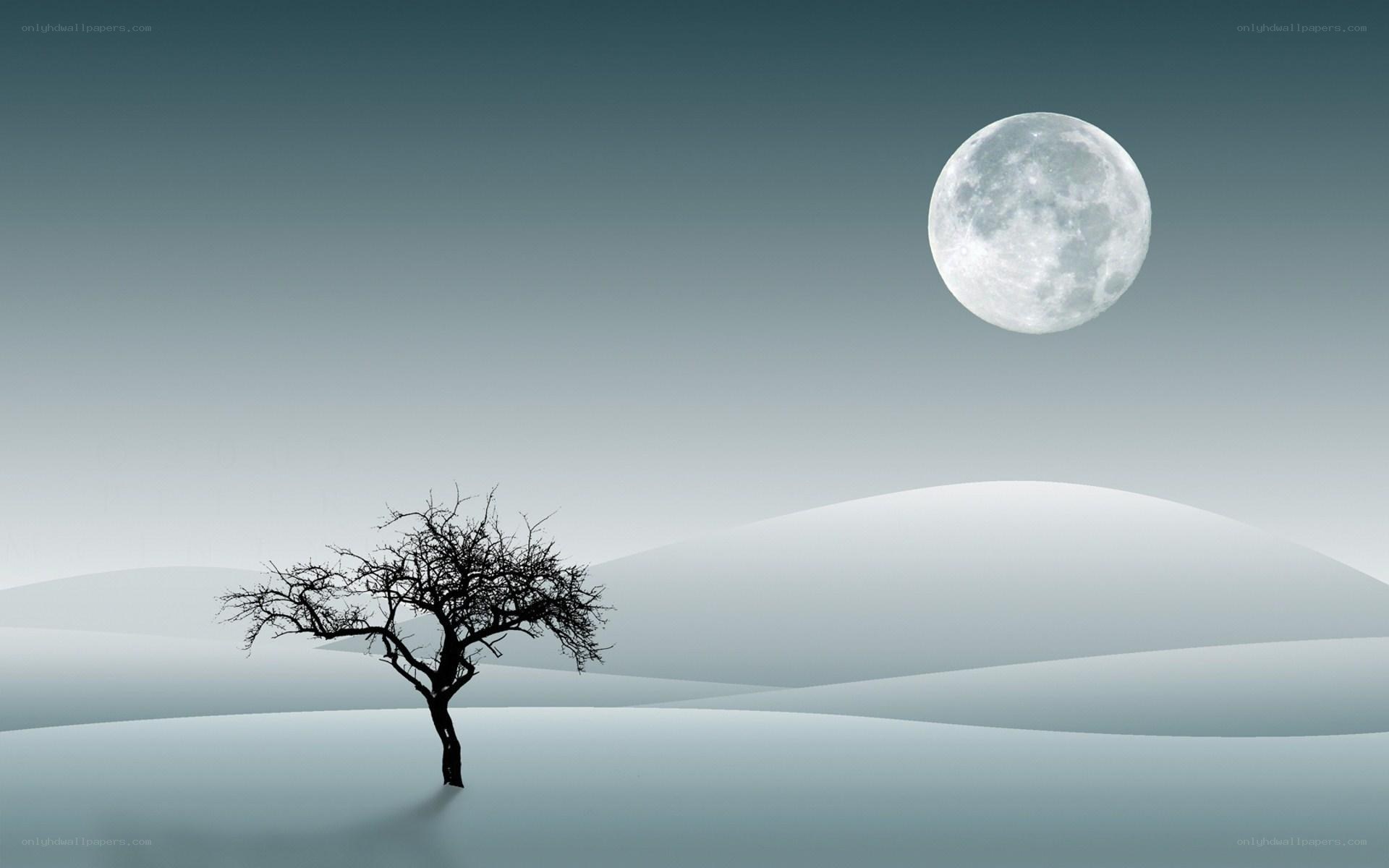 solitary tree under full moon