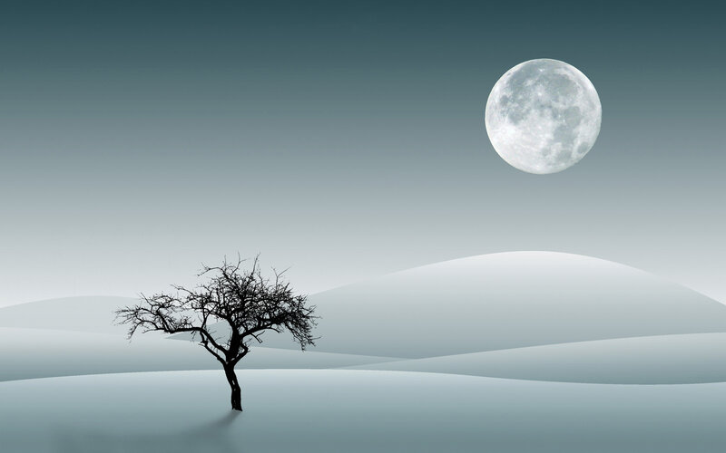 solitary tree under full moon
