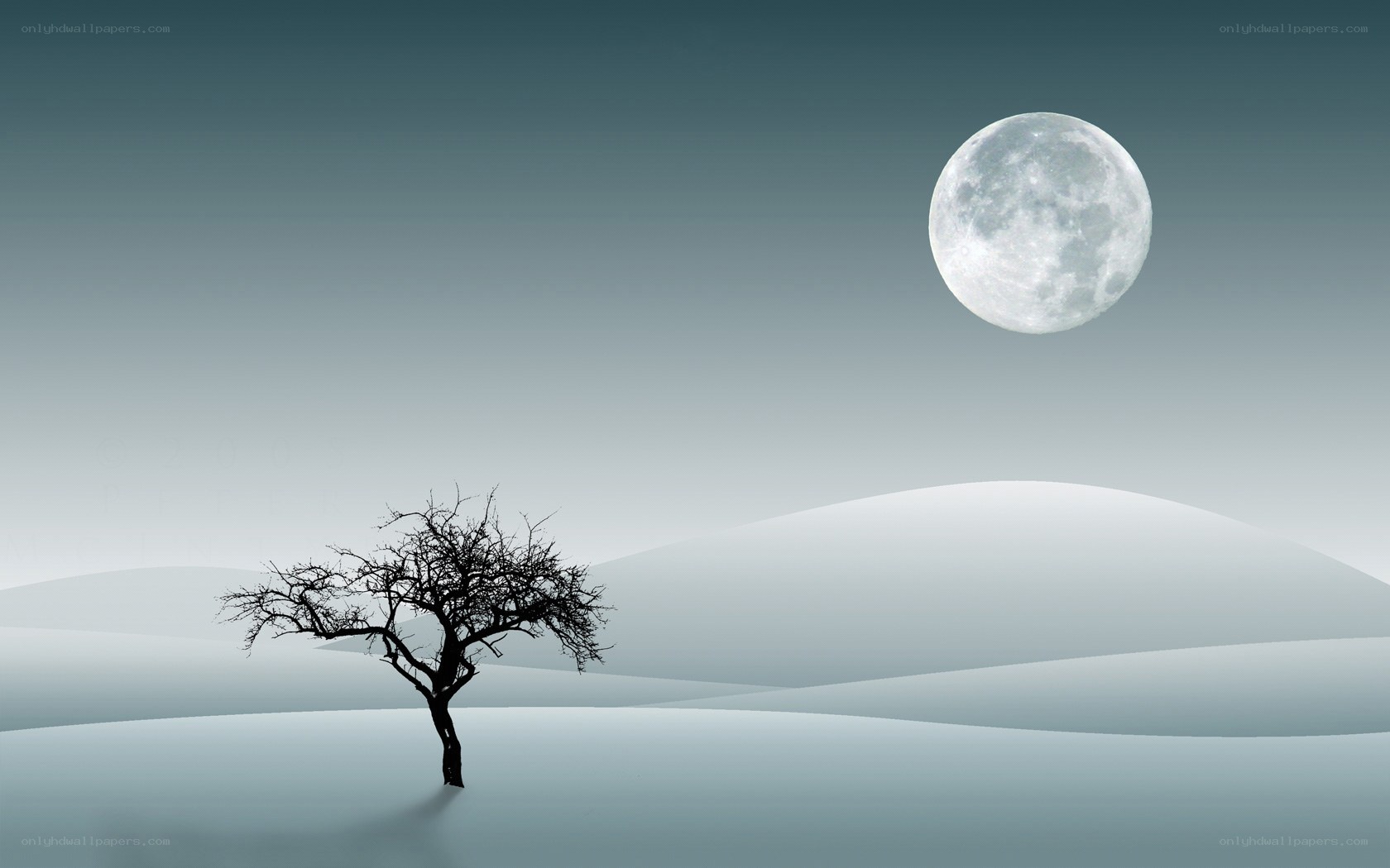 solitary tree under full moon