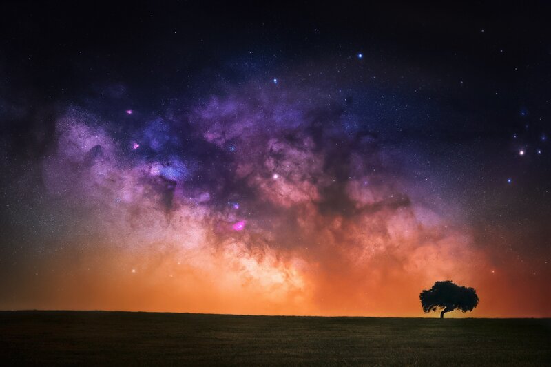 Solitary Tree under Galaxy