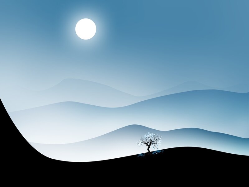 solitary tree under moonlight