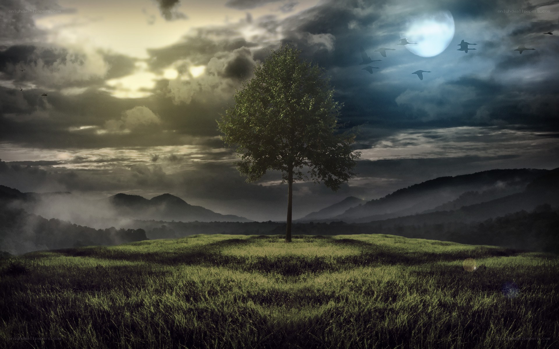 Solitary tree under moonlit sky