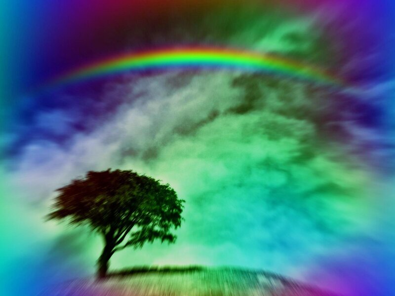Solitary Tree under Rainbow