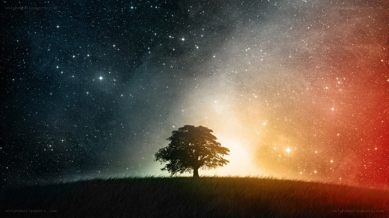 solitary tree under starry sky