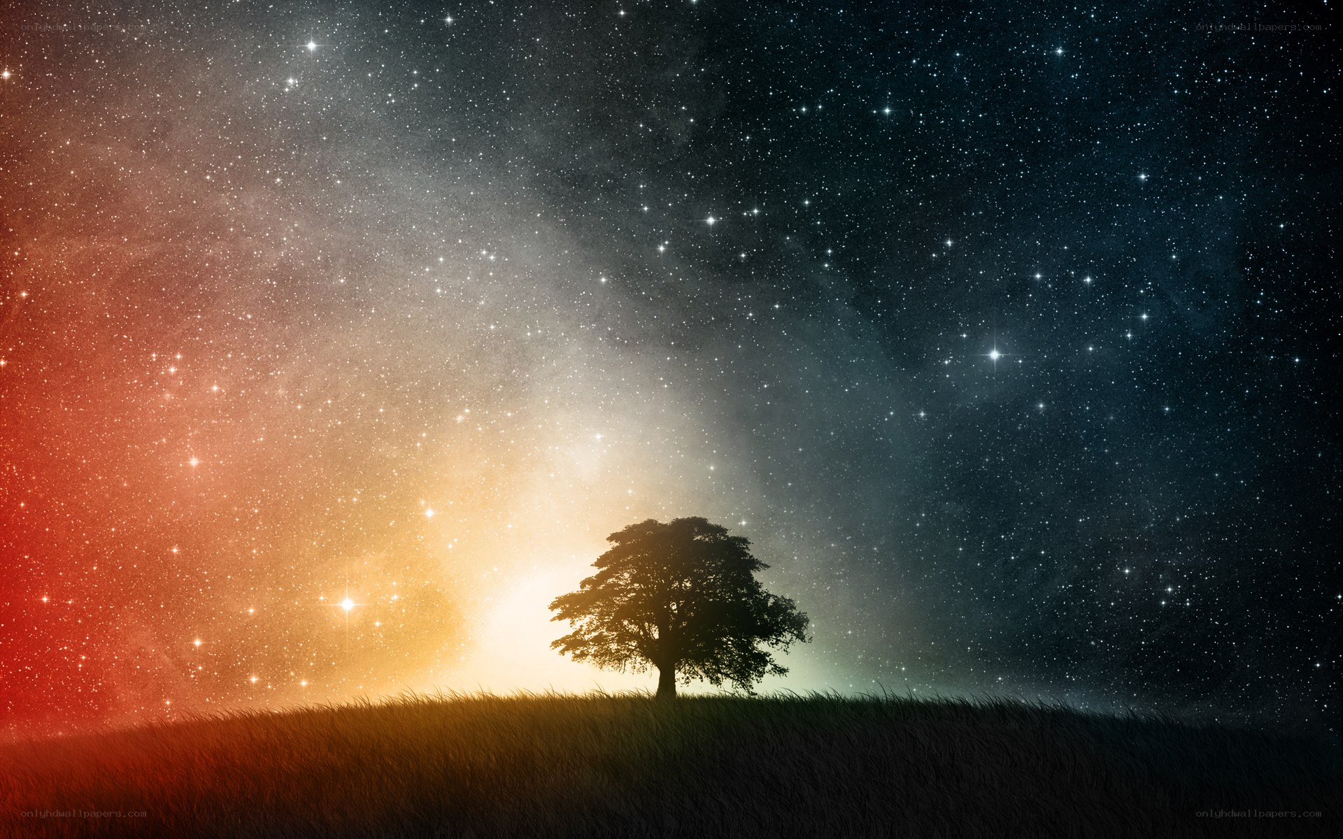 solitary tree under starry sky