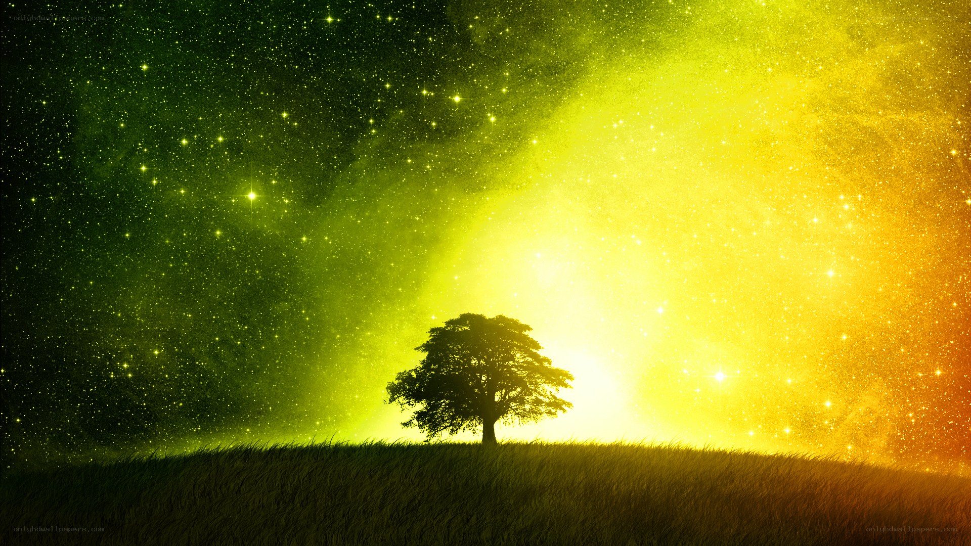 solitary tree under starry sky