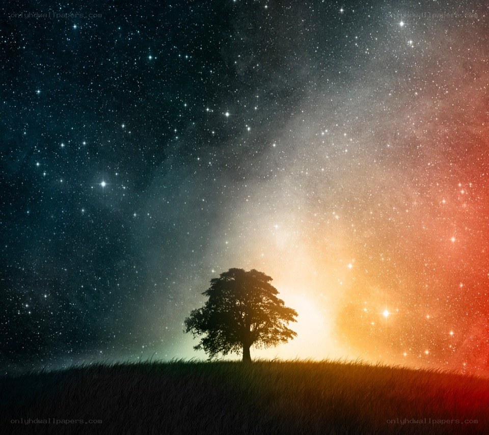 solitary tree under starry sky