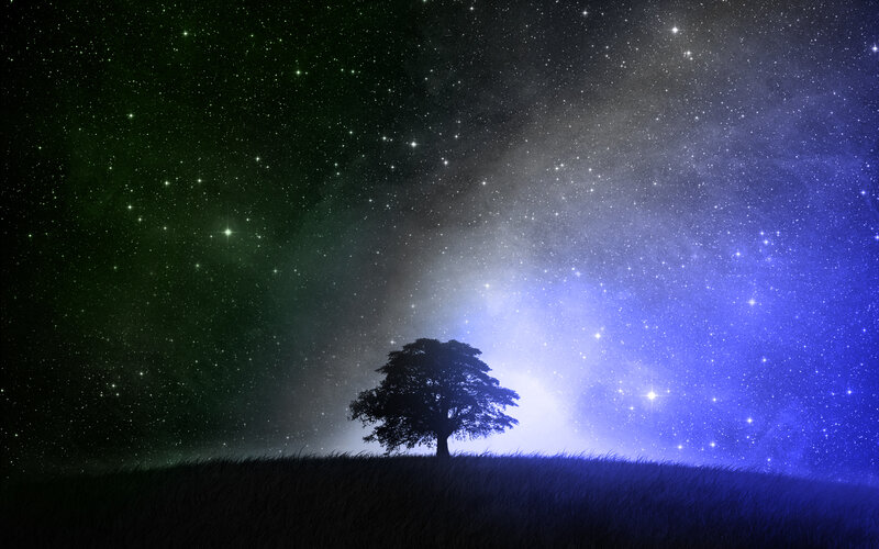 solitary tree under starry sky