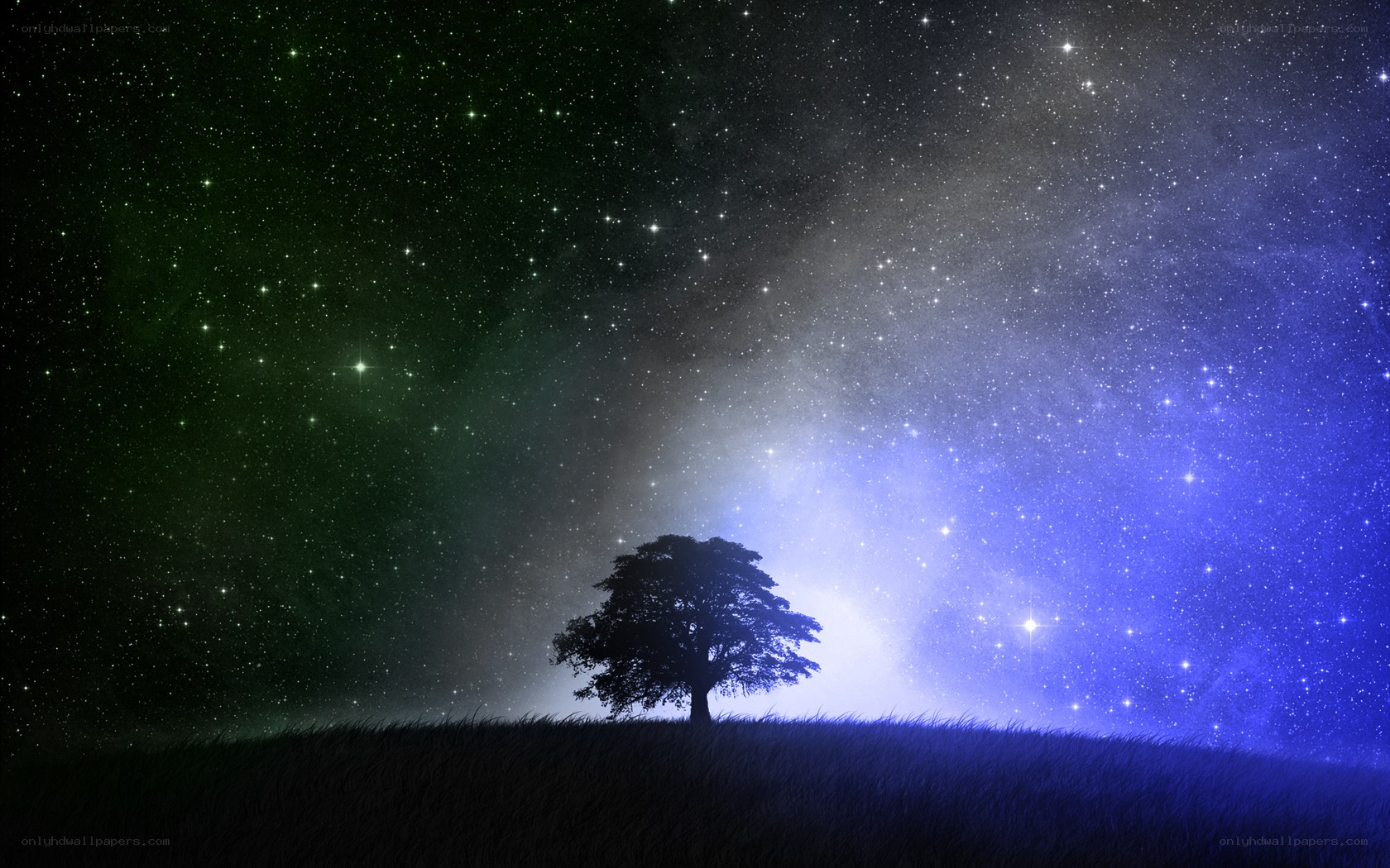solitary tree under starry sky
