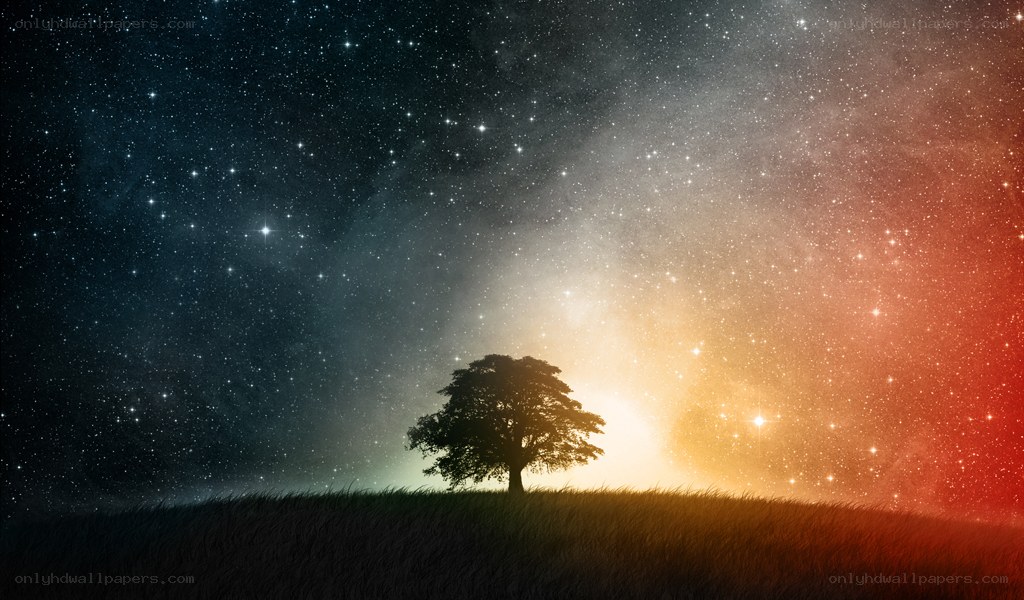 solitary tree under starry sky