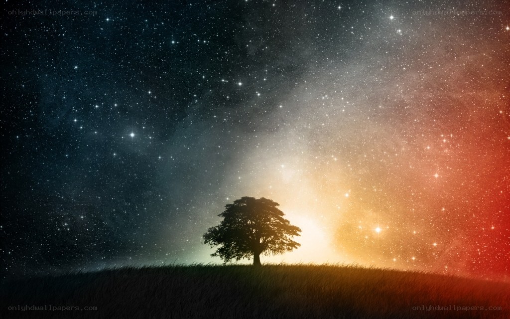 solitary tree under starry sky