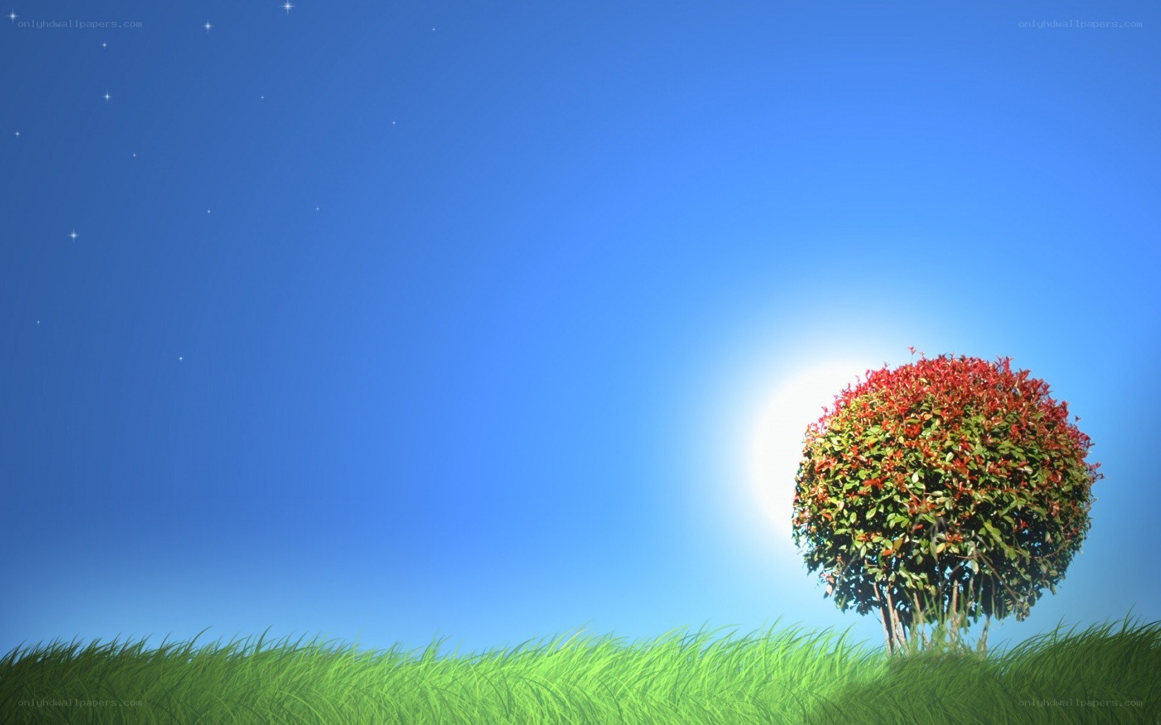 solitary tree under starry sky