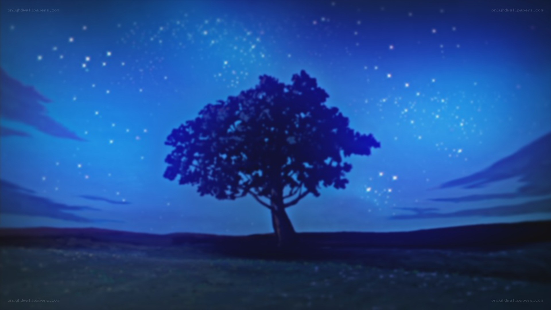 solitary tree under starry sky