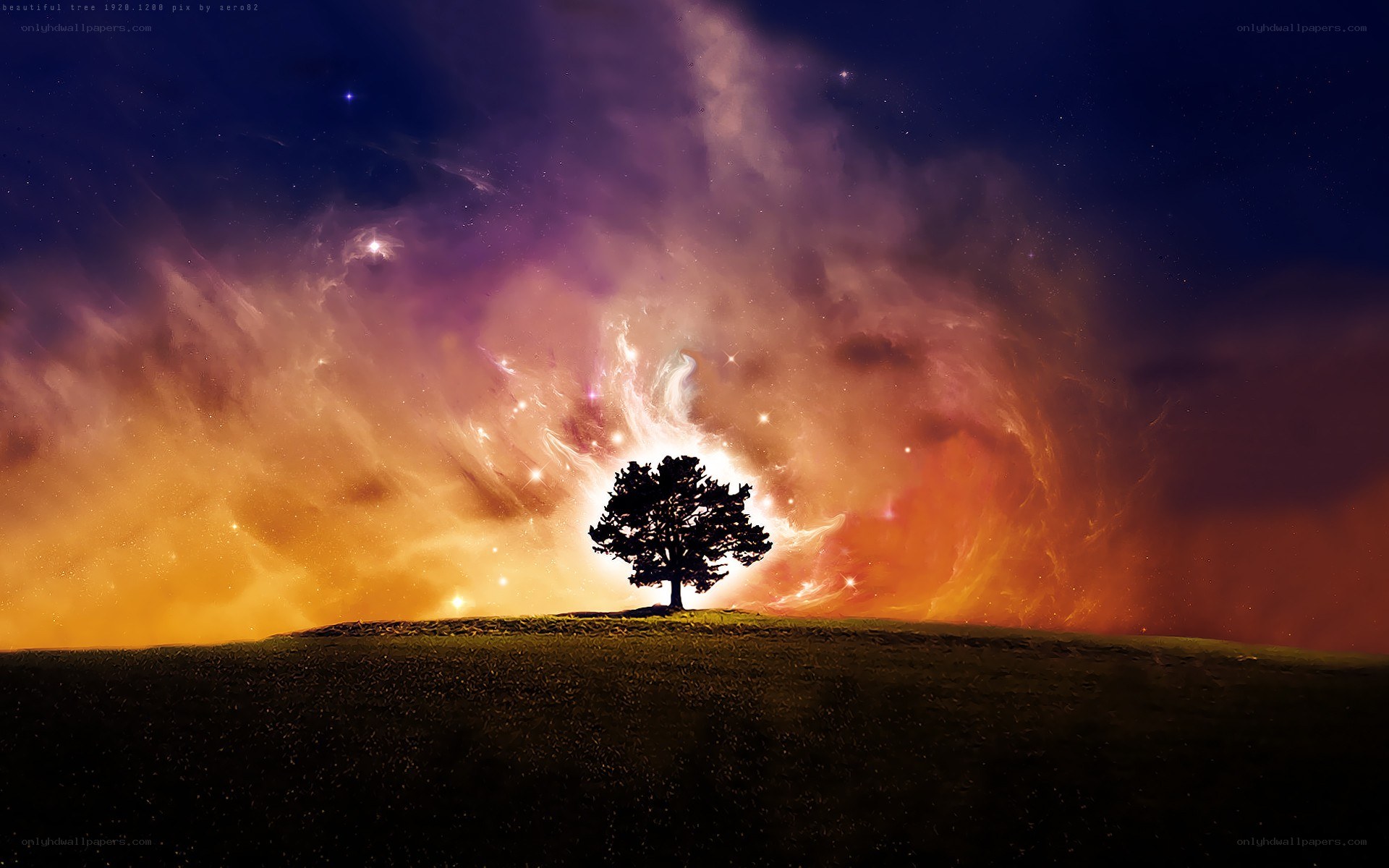 solitary tree under starry sky
