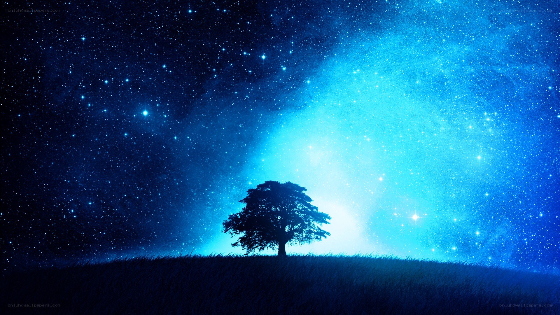 solitary tree under starry sky
