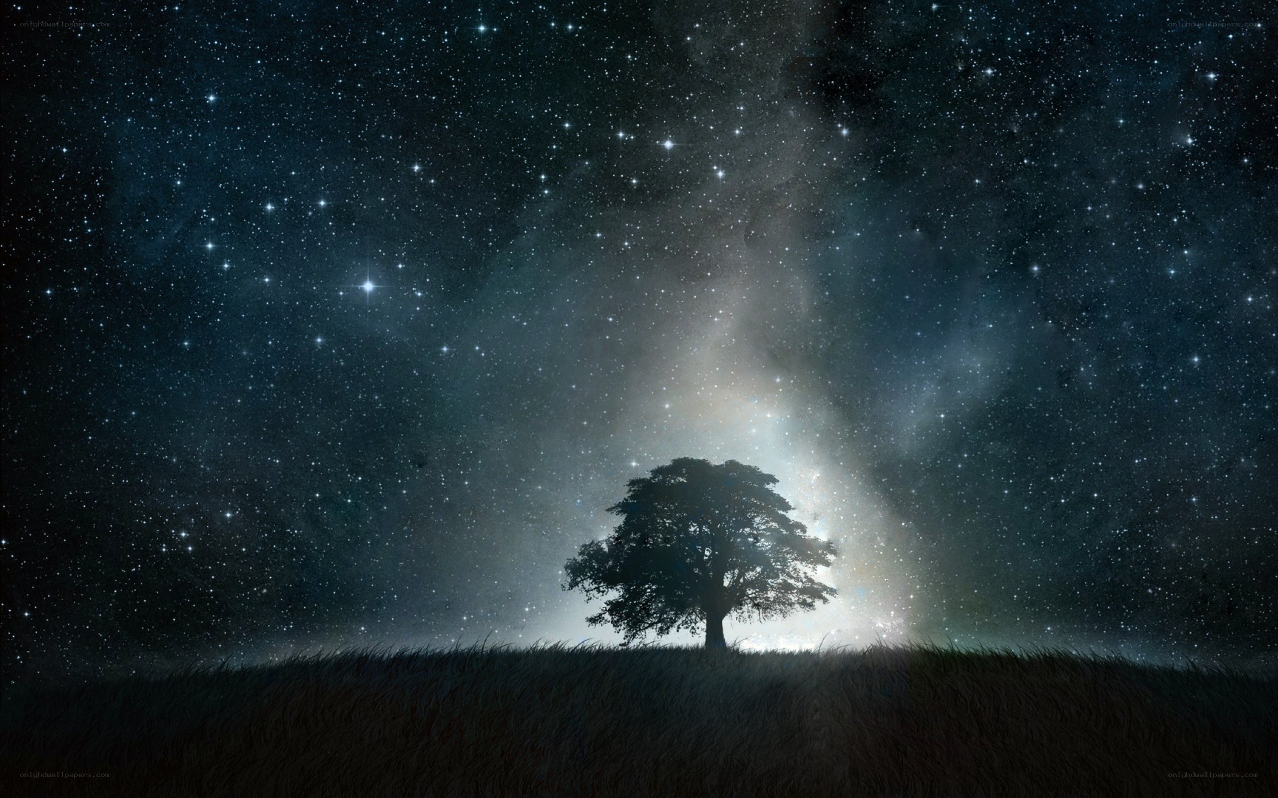 solitary tree under starry sky