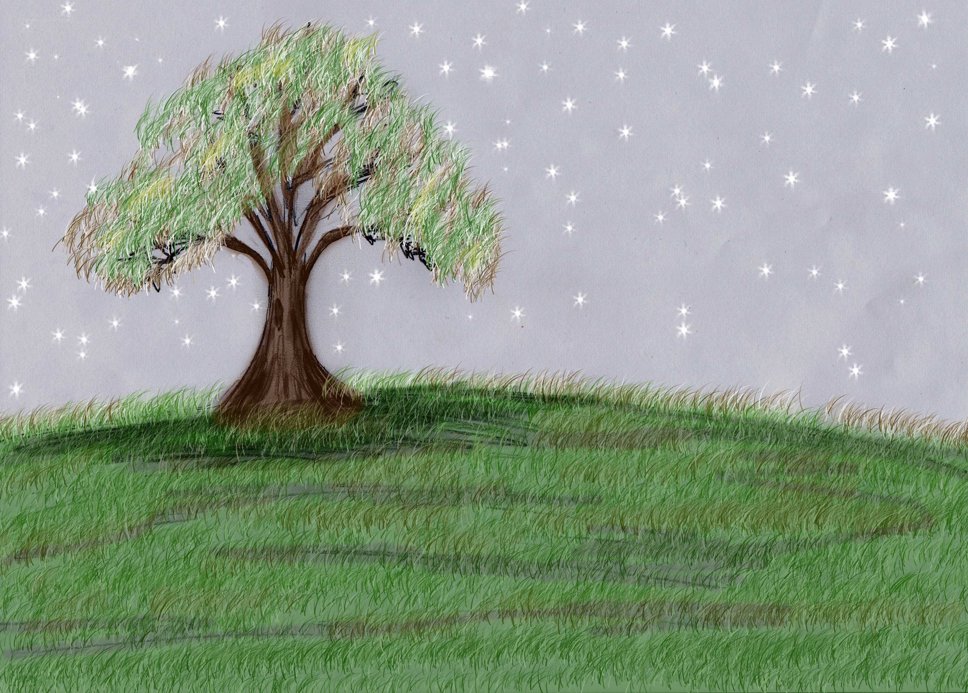 Solitary tree under starry sky