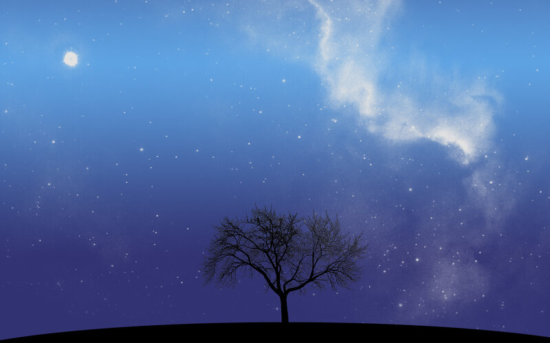 solitary tree under starry sky