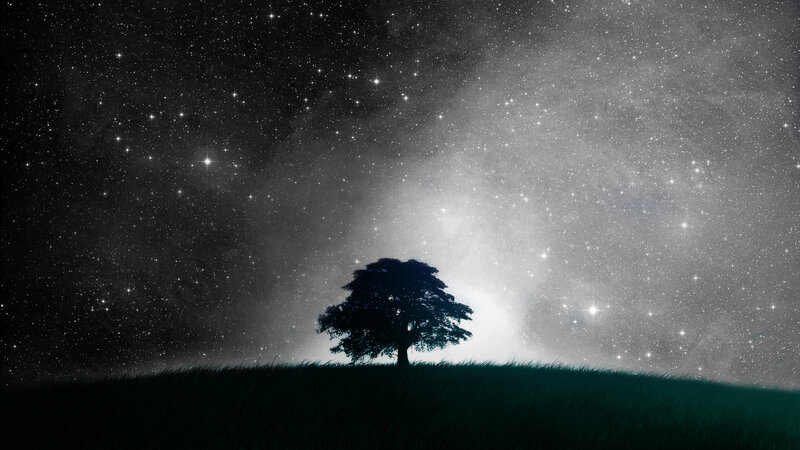 solitary tree under starry sky