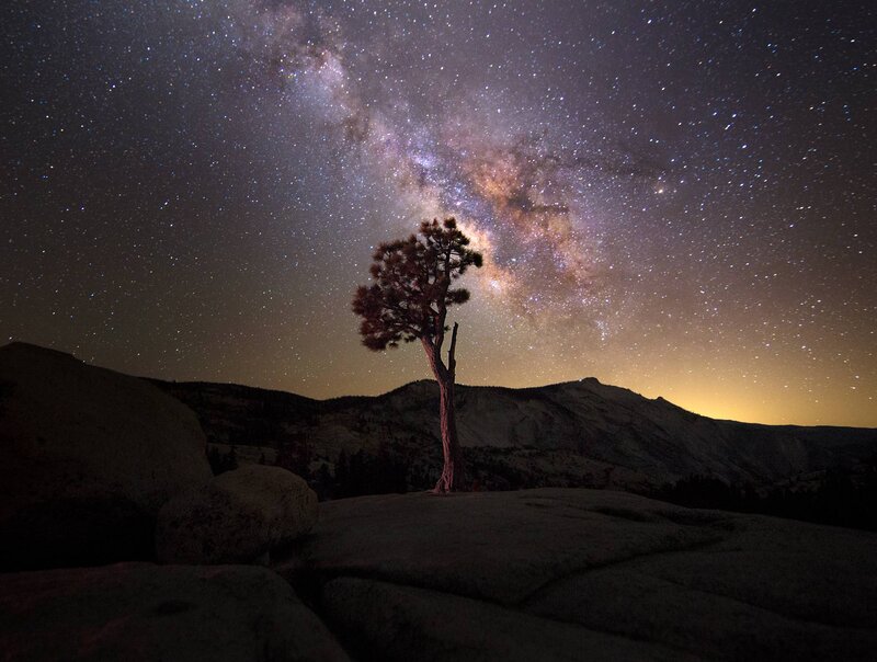 Solitary Tree under Stars — Black