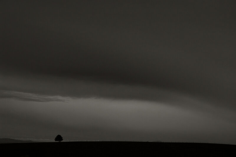 Solitary tree under stormy sky