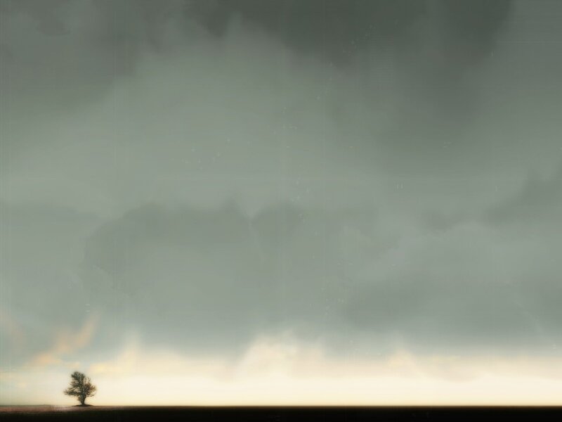 Solitary tree under stormy sky