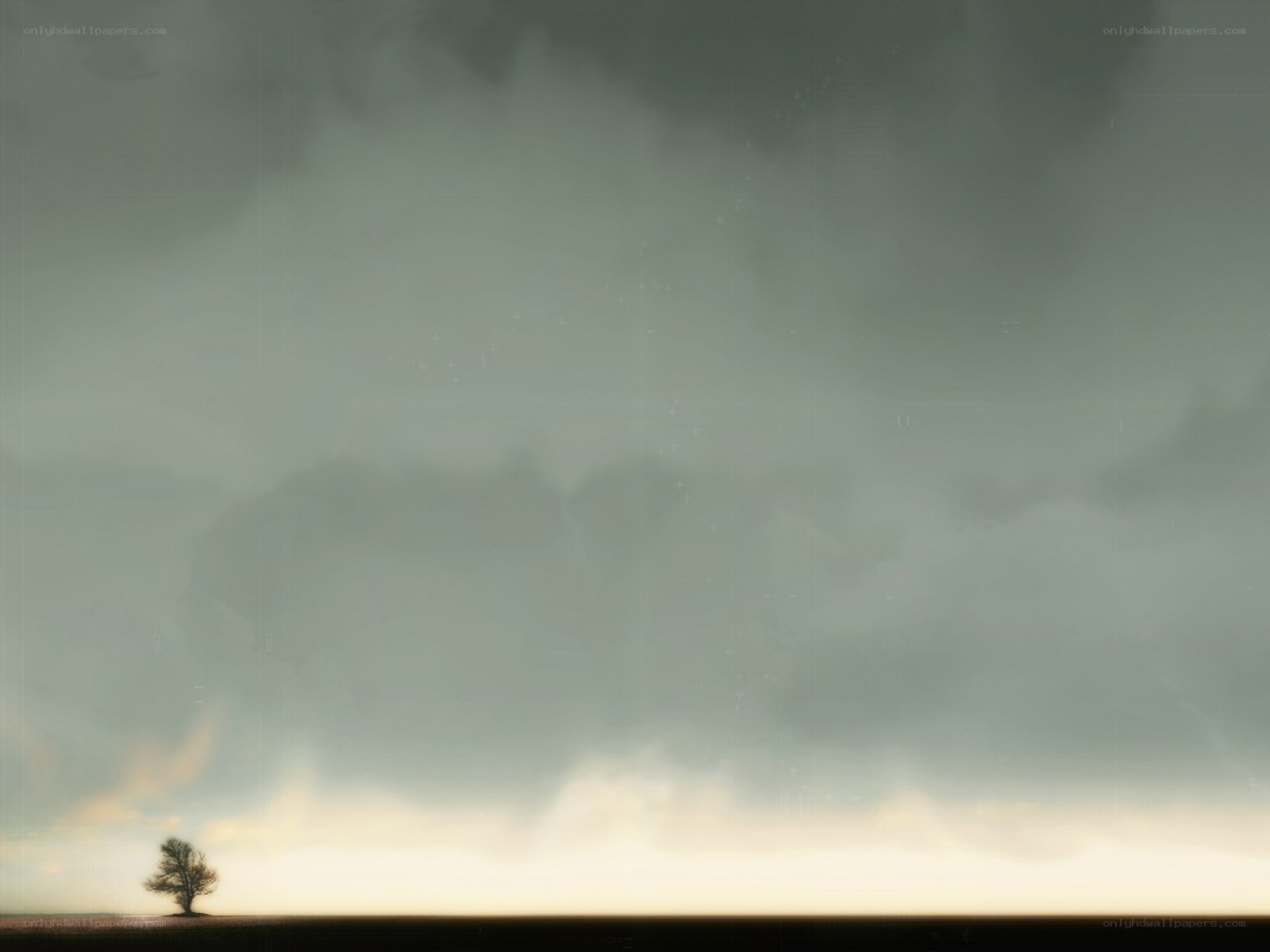 Solitary tree under stormy sky