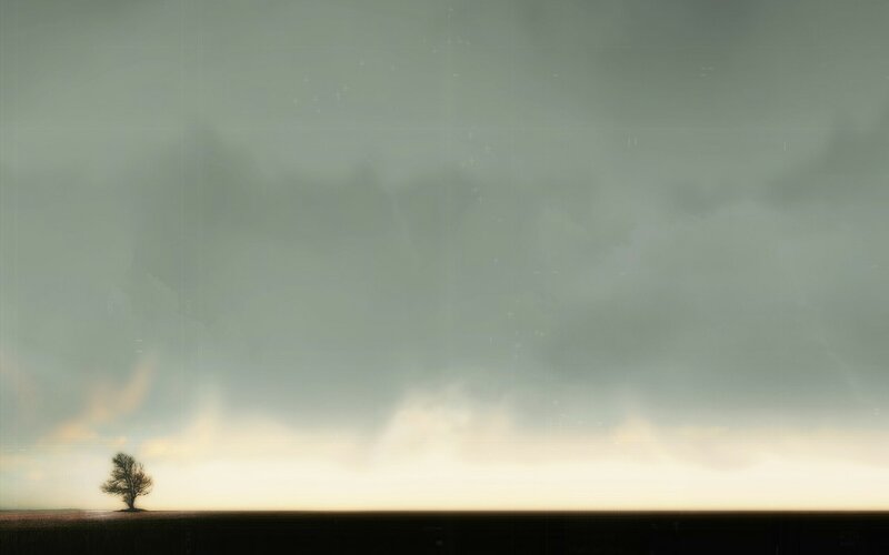 solitary tree under stormy sky