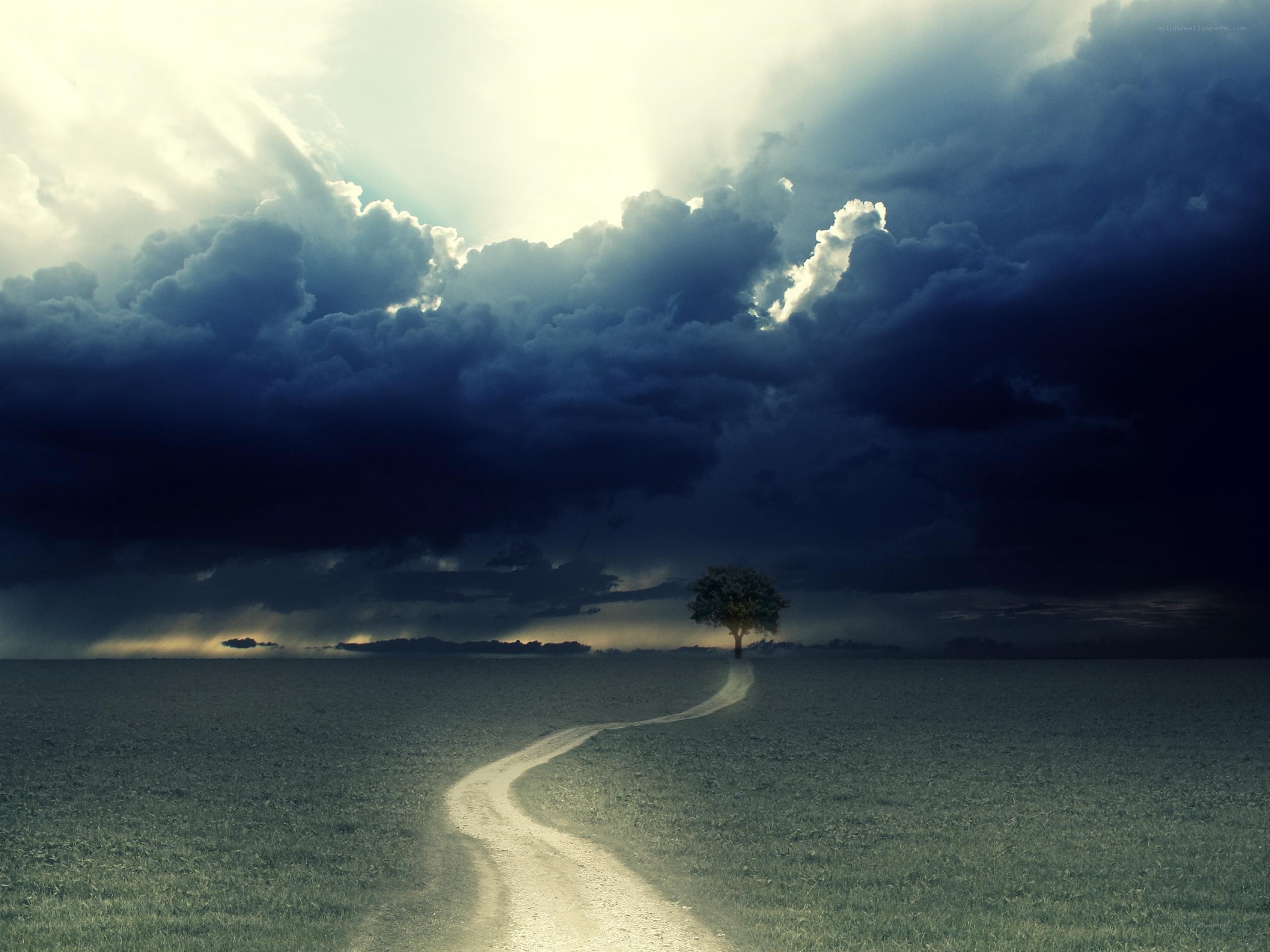 Solitary tree under stormy sky