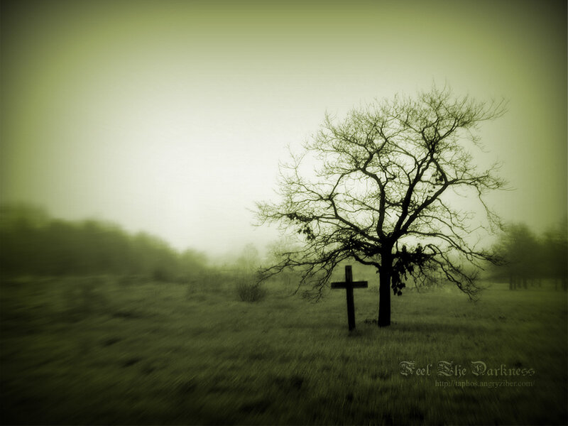 Solitary tree with cross in fog