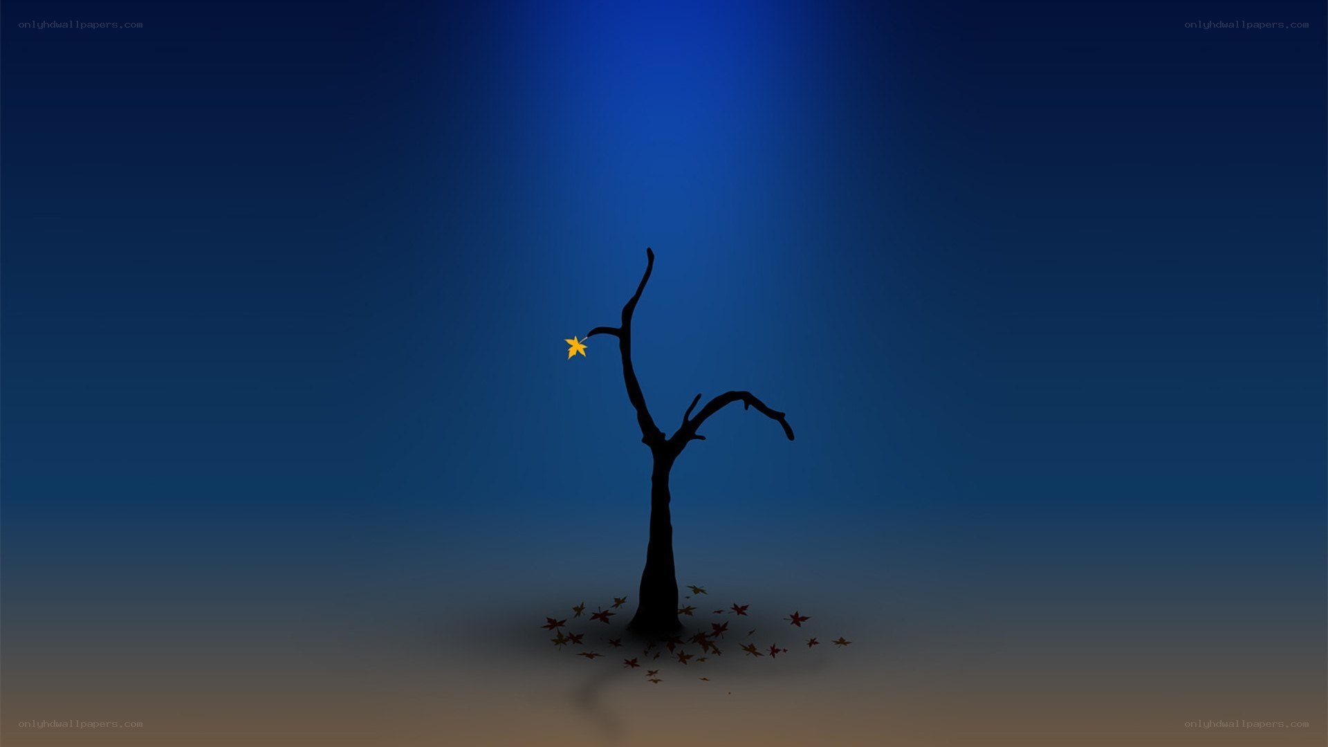 solitary tree with golden leaf