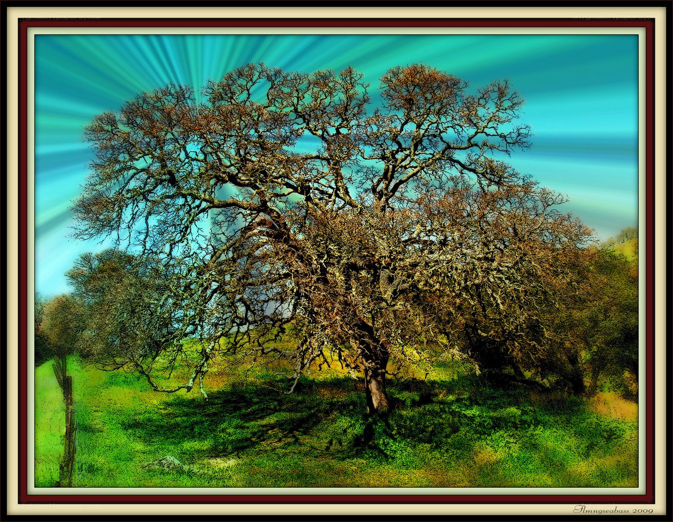 Solitary tree with radiant sky