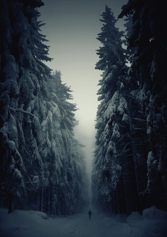 Solitary walk in snowy forest