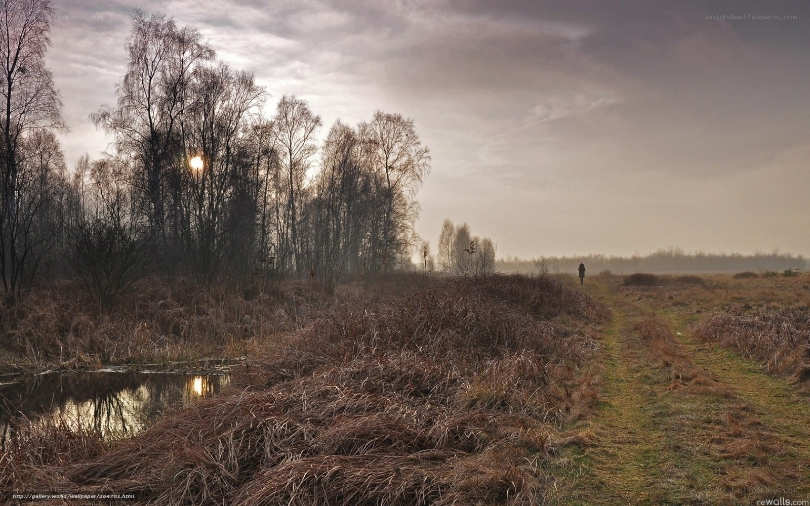 Solitary walk in the marsh