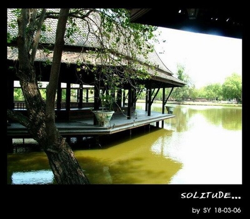 Solitude by the lake
