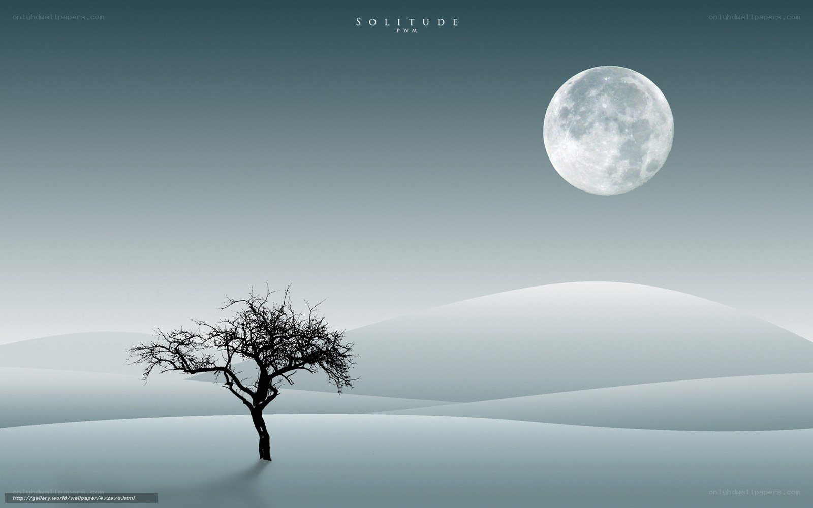 Solitude under the moon