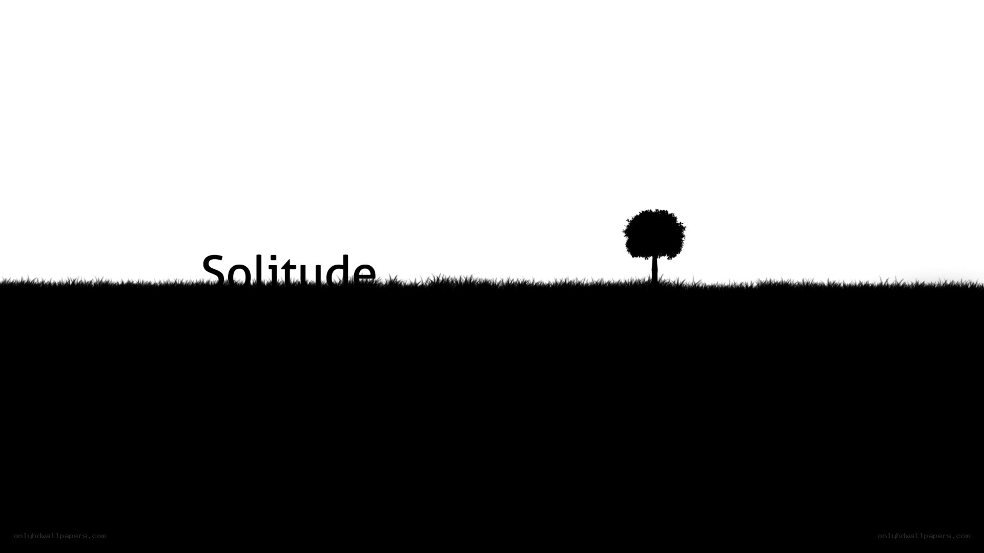 Solitude with a tree