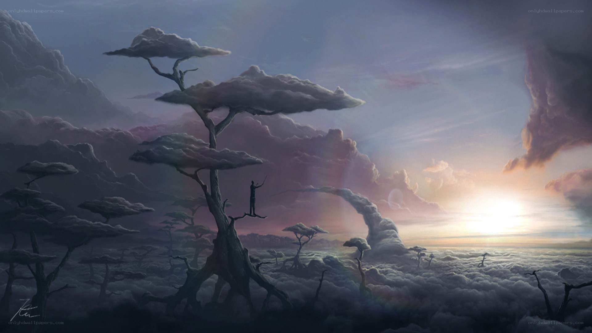 solo figure on cloud tree