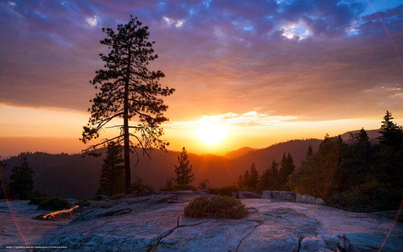 Solo Pine Tree at Sunset — Orange, Serene, Photograph, Mountains, Sky