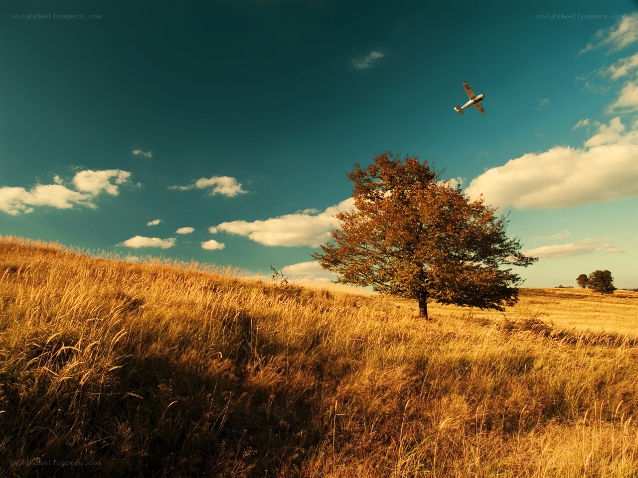 Solo plane over autumn field