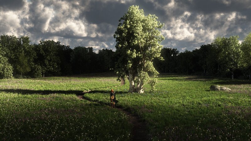 Solo traveler in a sunlit field