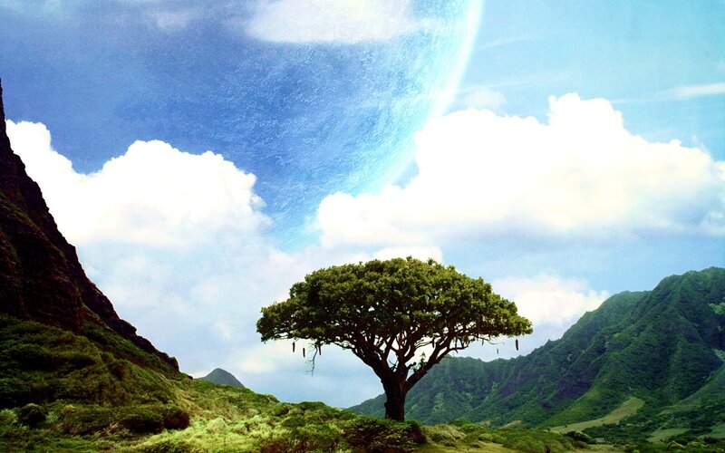 solo tree on alien planet